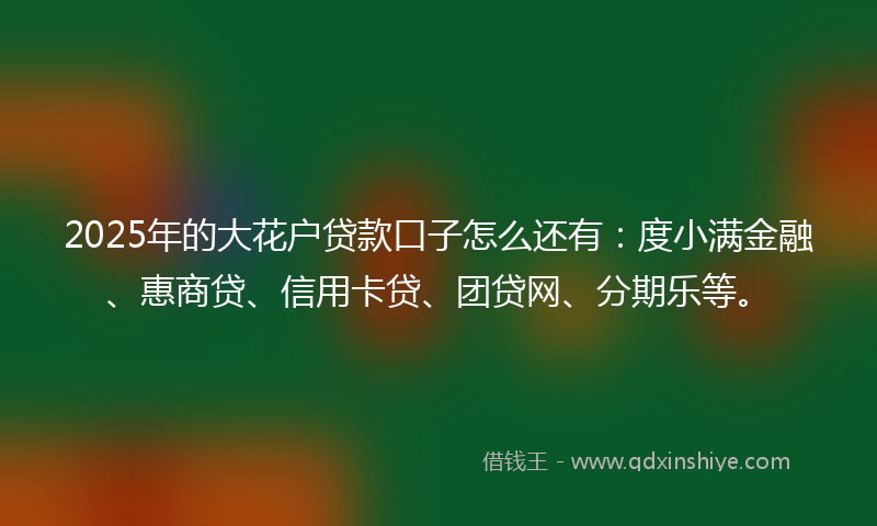 2025年的大花户贷款口子怎么还有：度小满金融、惠商贷、信用卡贷、团贷网、分期乐等。