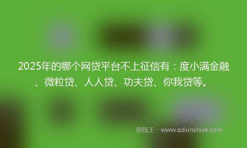 2025年的哪个网贷平台不上征信有：度小满金融、微粒贷、人人贷、功夫贷、你我贷等。