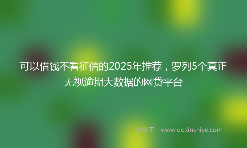 可以借钱不看征信的2025年推荐，罗列5个真正无视逾期大数据的网贷平台