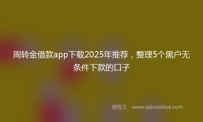周转金借款app下载2025年推荐，整理5个黑户无条件下款的口子