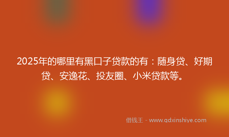 2025年的哪里有黑口子贷款的有：随身贷、好期贷、安逸花、投友圈、小米贷款等。