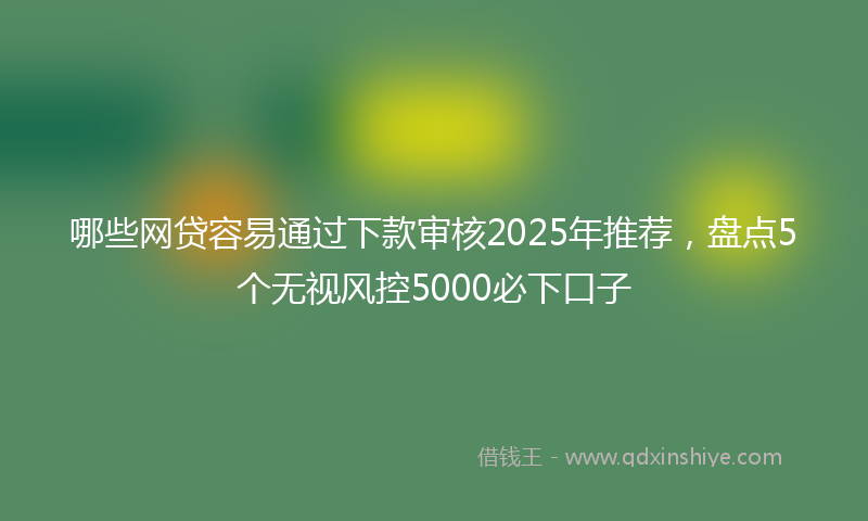 哪些网贷容易通过下款审核2025年推荐，盘点5个无视风控5000必下口子