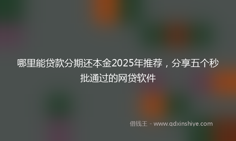 哪里能贷款分期还本金2025年推荐，分享五个秒批通过的网贷软件