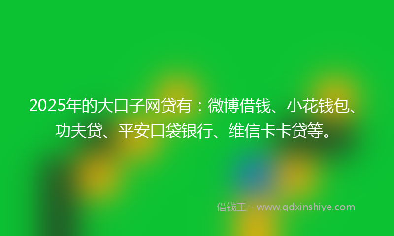 2025年的大口子网贷有：微博借钱、小花钱包、功夫贷、平安口袋银行、维信卡卡贷等。