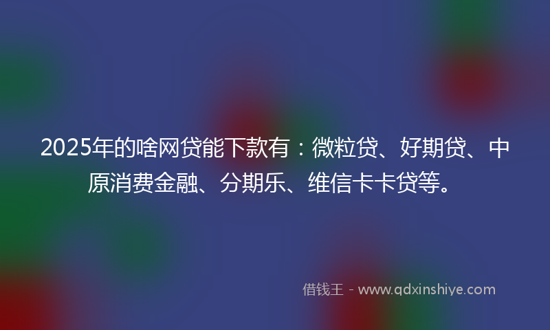 2025年的啥网贷能下款有：微粒贷、好期贷、中原消费金融、分期乐、维信卡卡贷等。
