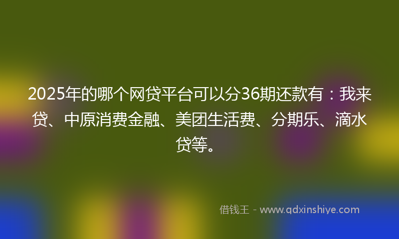 2025年的哪个网贷平台可以分36期还款有：我来贷、中原消费金融、美团生活费、分期乐、滴水贷等。