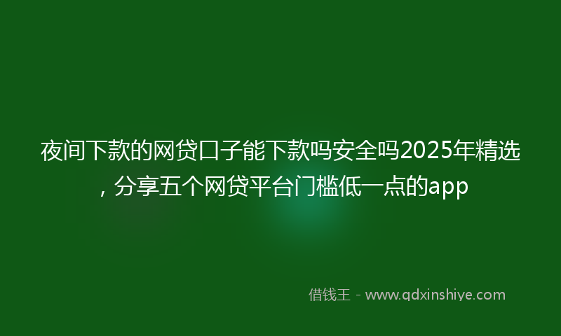 夜间下款的网贷口子能下款吗安全吗2025年精选，分享五个网贷平台门槛低一点的app