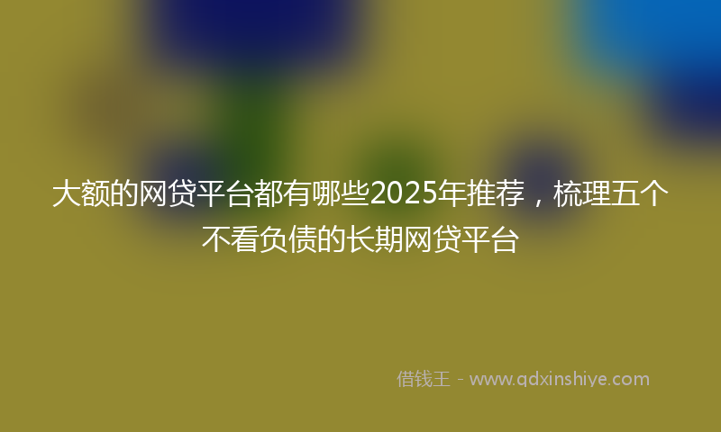 大额的网贷平台都有哪些2025年推荐，梳理五个不看负债的长期网贷平台