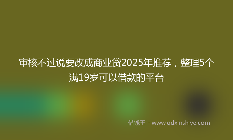 审核不过说要改成商业贷2025年推荐，整理5个满19岁可以借款的平台