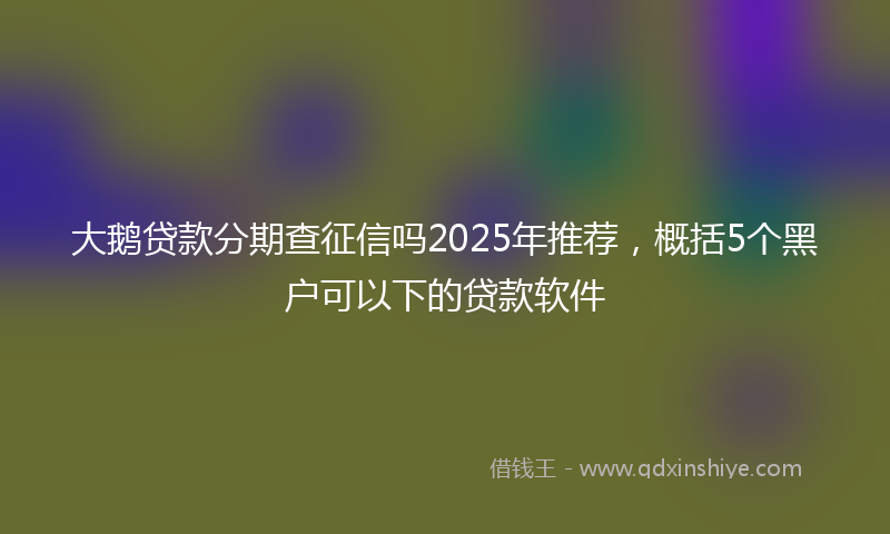大鹅贷款分期查征信吗2025年推荐，概括5个黑户可以下的贷款软件