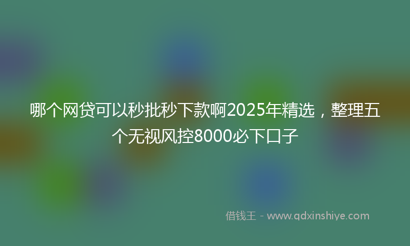 哪个网贷可以秒批秒下款啊2025年精选，整理五个无视风控8000必下口子