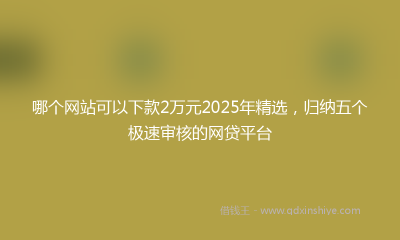 哪个网站可以下款2万元2025年精选，归纳五个极速审核的网贷平台