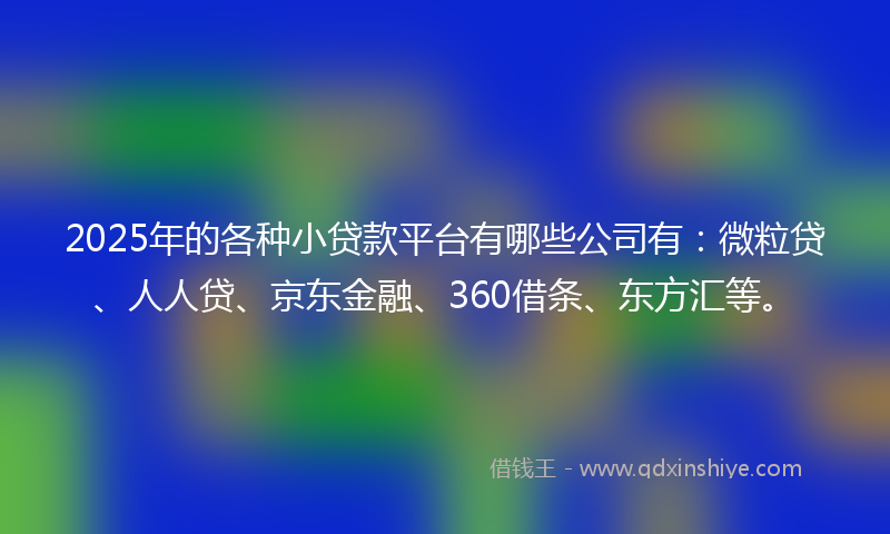 2025年的各种小贷款平台有哪些公司有：微粒贷、人人贷、京东金融、360借条、东方汇等。