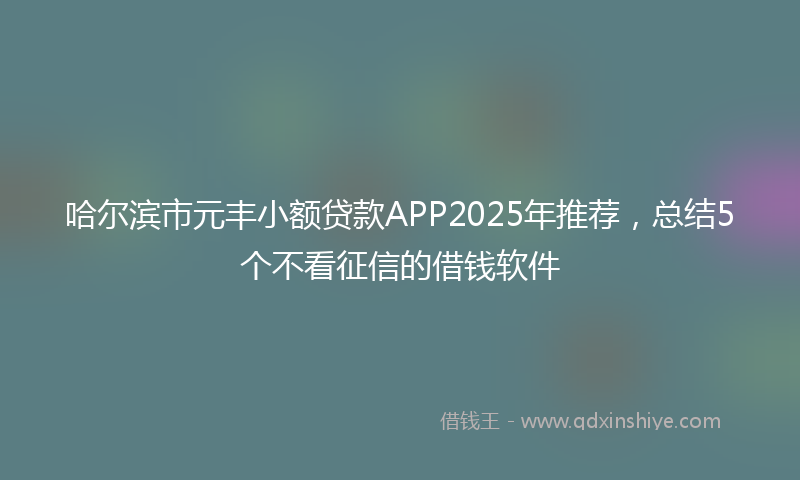 哈尔滨市元丰小额贷款APP2025年推荐，总结5个不看征信的借钱软件