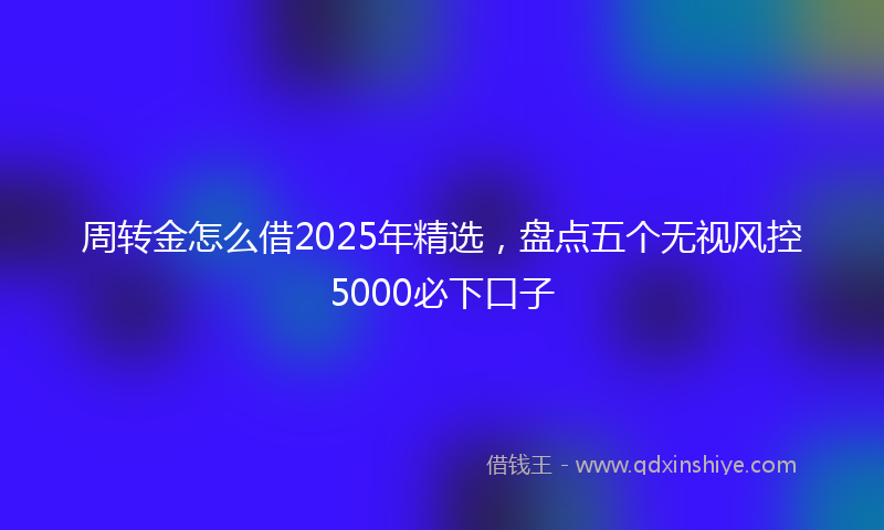 周转金怎么借2025年精选，盘点五个无视风控5000必下口子