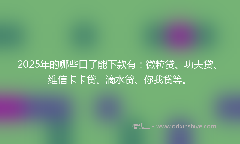 2025年的哪些口子能下款有：微粒贷、功夫贷、维信卡卡贷、滴水贷、你我贷等。