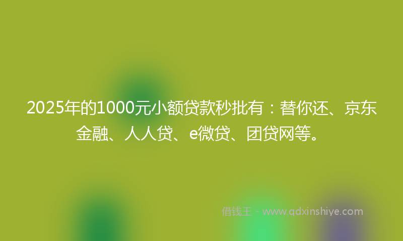 2025年的1000元小额贷款秒批有：替你还、京东金融、人人贷、e微贷、团贷网等。