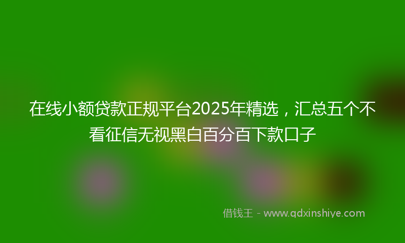 在线小额贷款正规平台2025年精选，汇总五个不看征信无视黑白百分百下款口子