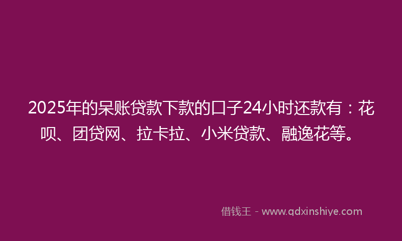 2025年的呆账贷款下款的口子24小时还款有：花呗、团贷网、拉卡拉、小米贷款、融逸花等。