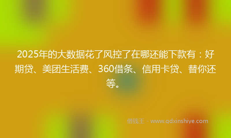 2025年的大数据花了风控了在哪还能下款有：好期贷、美团生活费、360借条、信用卡贷、替你还等。