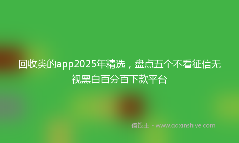 回收类的app2025年精选，盘点五个不看征信无视黑白百分百下款平台