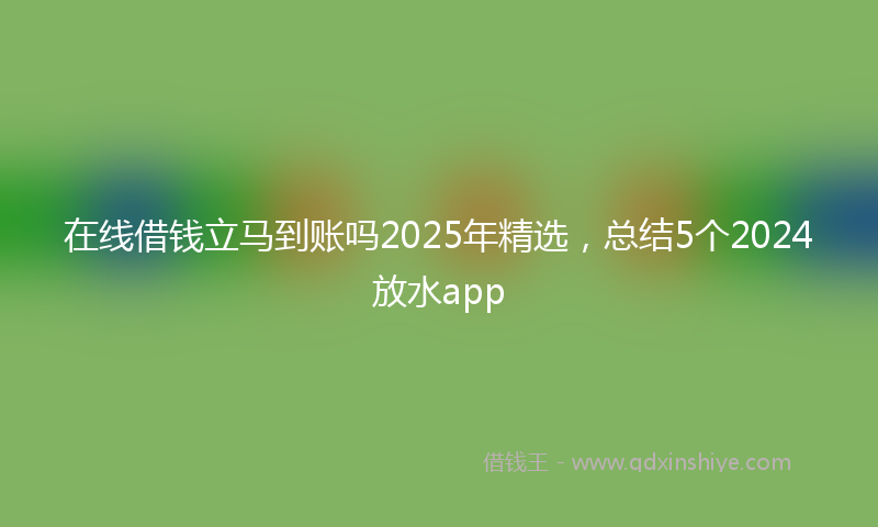 在线借钱立马到账吗2025年精选，总结5个2024放水app