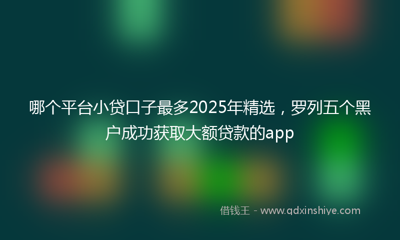 哪个平台小贷口子最多2025年精选，罗列五个黑户成功获取大额贷款的app