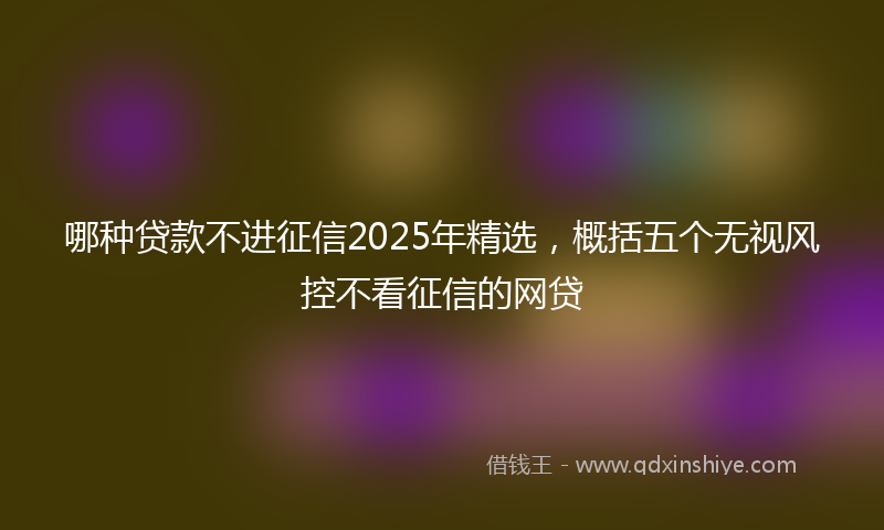 哪种贷款不进征信2025年精选，概括五个无视风控不看征信的网贷