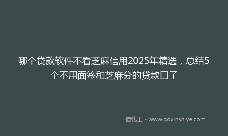 哪个贷款软件不看芝麻信用2025年精选，总结5个不用面签和芝麻分的贷款口子
