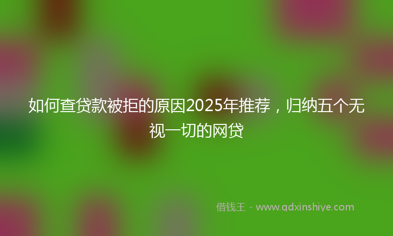 如何查贷款被拒的原因2025年推荐，归纳五个无视一切的网贷