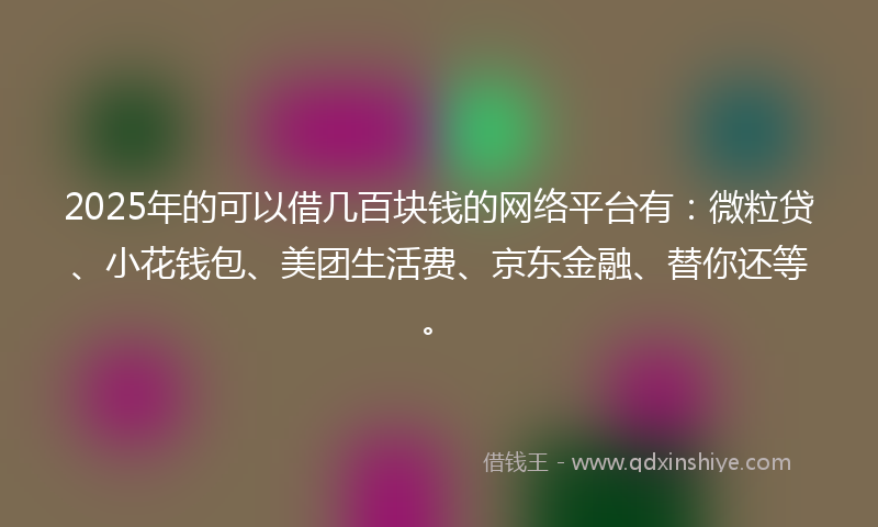 2025年的可以借几百块钱的网络平台有：微粒贷、小花钱包、美团生活费、京东金融、替你还等。