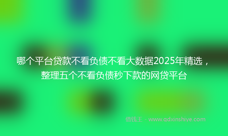 哪个平台贷款不看负债不看大数据2025年精选，整理五个不看负债秒下款的网贷平台