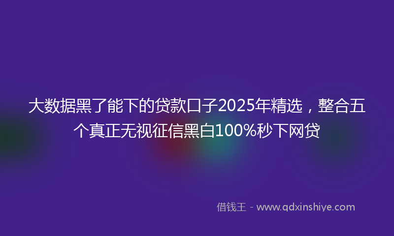 大数据黑了能下的贷款口子2025年精选，整合五个真正无视征信黑白100%秒下网贷
