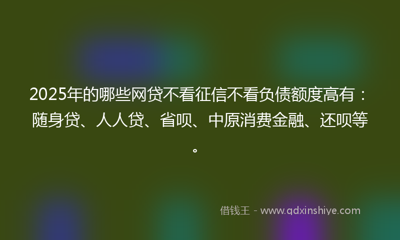 2025年的哪些网贷不看征信不看负债额度高有：随身贷、人人贷、省呗、中原消费金融、还呗等。