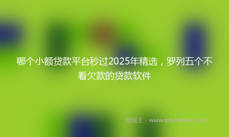 哪个小额贷款平台秒过2025年精选，罗列五个不看欠款的贷款软件