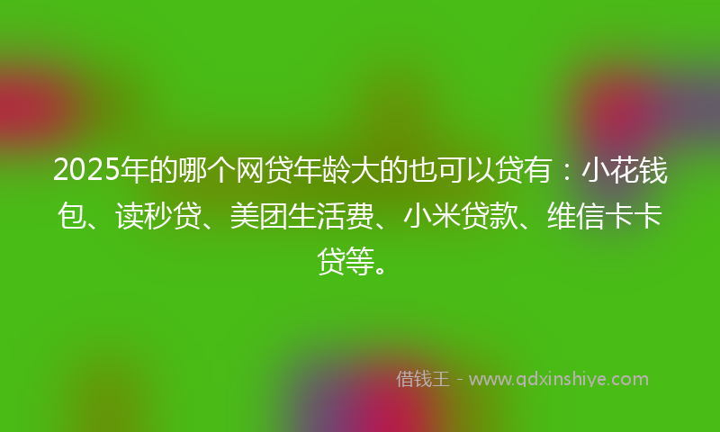 2025年的哪个网贷年龄大的也可以贷有：小花钱包、读秒贷、美团生活费、小米贷款、维信卡卡贷等。