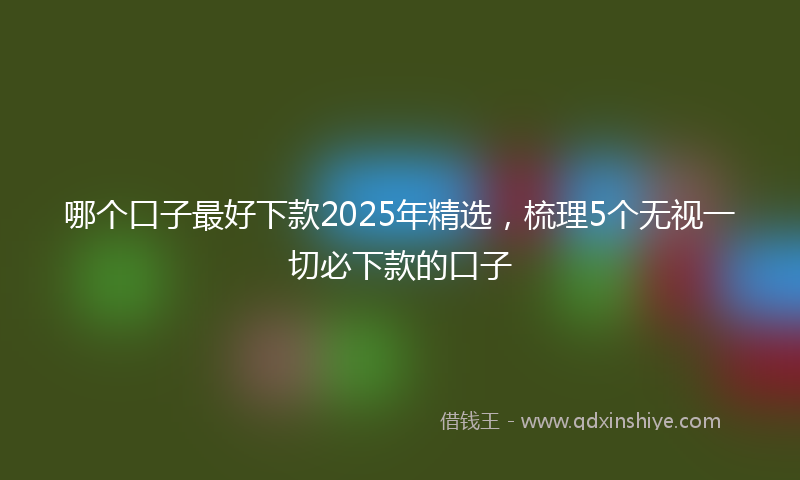 哪个口子最好下款2025年精选，梳理5个无视一切必下款的口子