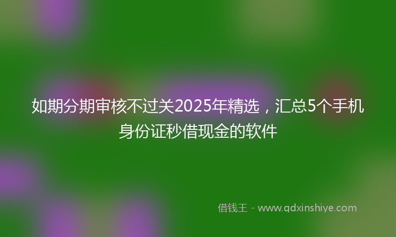 如期分期审核不过关2025年精选，汇总5个手机身份证秒借现金的软件