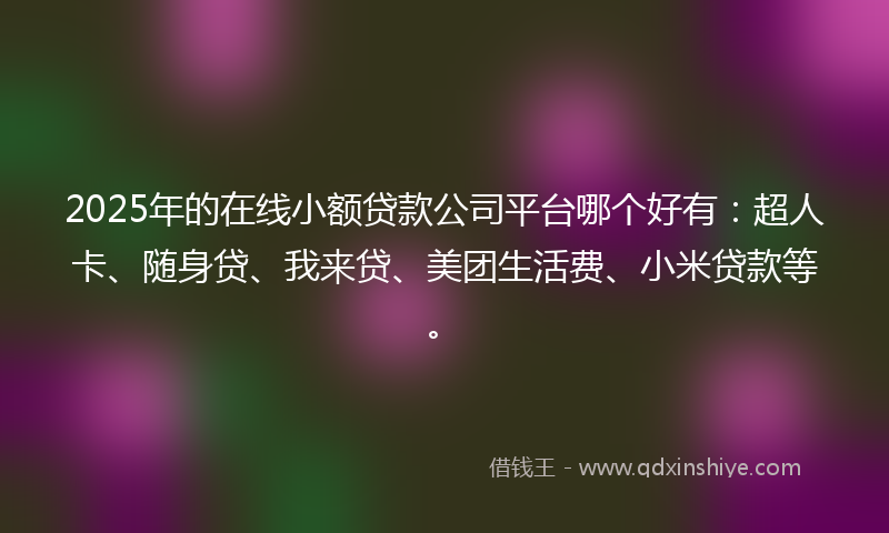 2025年的在线小额贷款公司平台哪个好有：超人卡、随身贷、我来贷、美团生活费、小米贷款等。