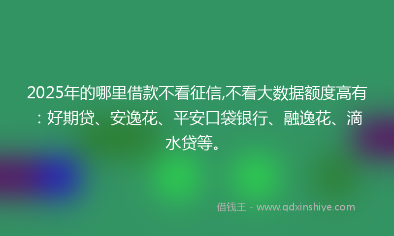 2025年的哪里借款不看征信,不看大数据额度高有：好期贷、安逸花、平安口袋银行、融逸花、滴水贷等。