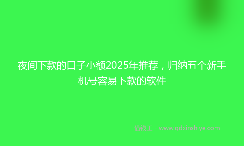 夜间下款的口子小额2025年推荐，归纳五个新手机号容易下款的软件