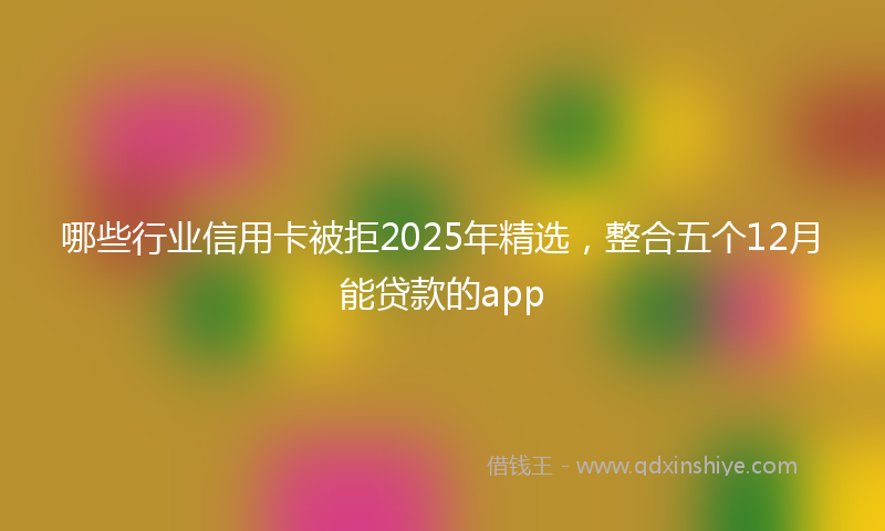 哪些行业信用卡被拒2025年精选，整合五个12月能贷款的app