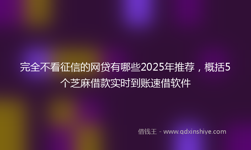 完全不看征信的网贷有哪些2025年推荐，概括5个芝麻借款实时到账速借软件