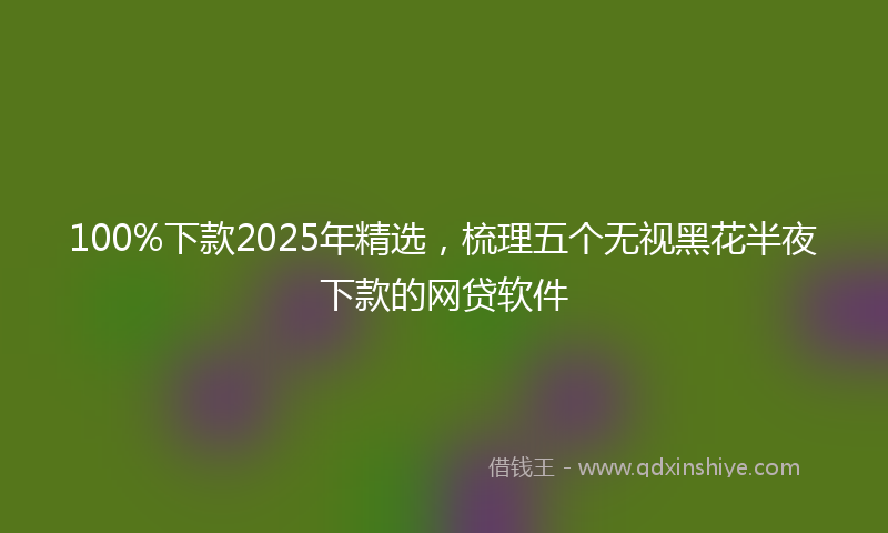 100%下款2025年精选，梳理五个无视黑花半夜下款的网贷软件