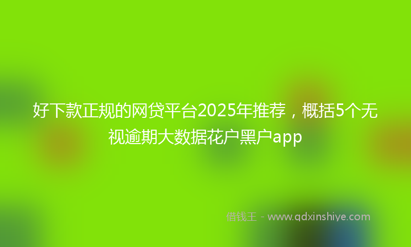 好下款正规的网贷平台2025年推荐，概括5个无视逾期大数据花户黑户app