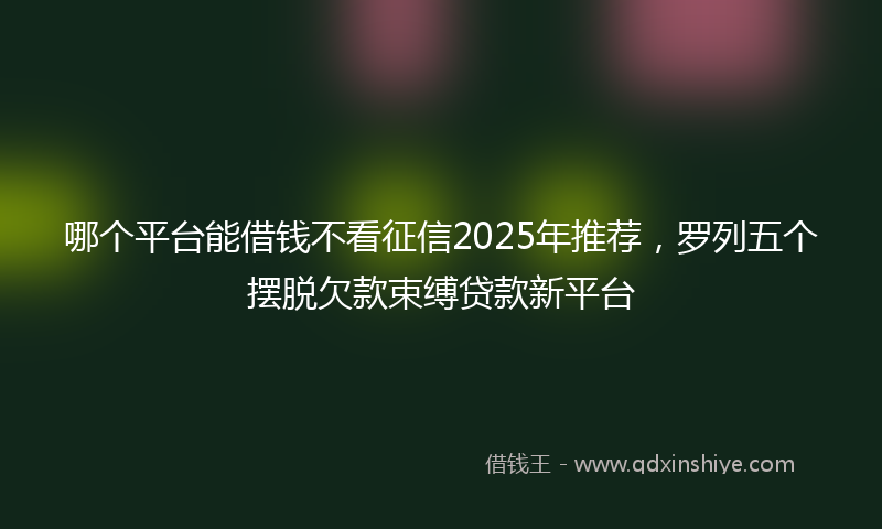 哪个平台能借钱不看征信2025年推荐，罗列五个摆脱欠款束缚贷款新平台