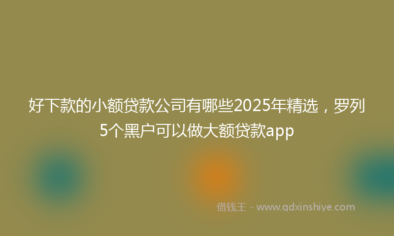 好下款的小额贷款公司有哪些2025年精选，罗列5个黑户可以做大额贷款app
