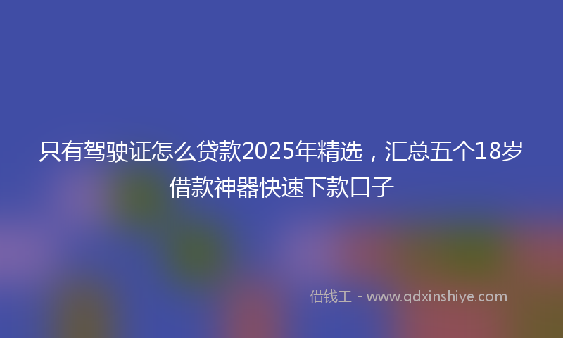 只有驾驶证怎么贷款2025年精选，汇总五个18岁借款神器快速下款口子