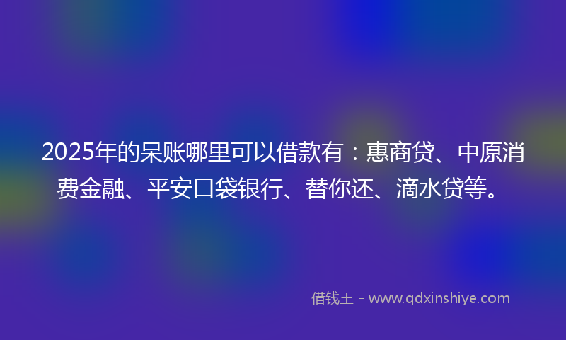 2025年的呆账哪里可以借款有：惠商贷、中原消费金融、平安口袋银行、替你还、滴水贷等。