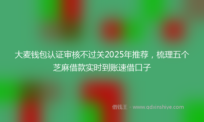 大麦钱包认证审核不过关2025年推荐，梳理五个芝麻借款实时到账速借口子